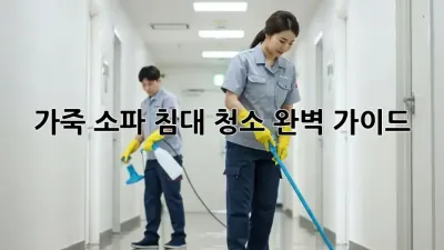 가죽 소파, 침대 청소 완벽 가이드